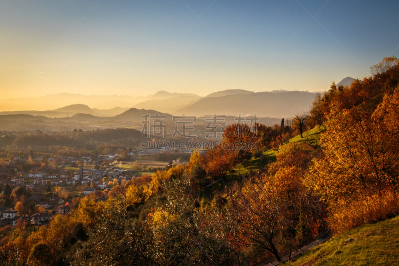 苹果马提尼,色彩鲜艳,阳光巡回赛,天空,早晨,夏天,光,草,明亮,黎明