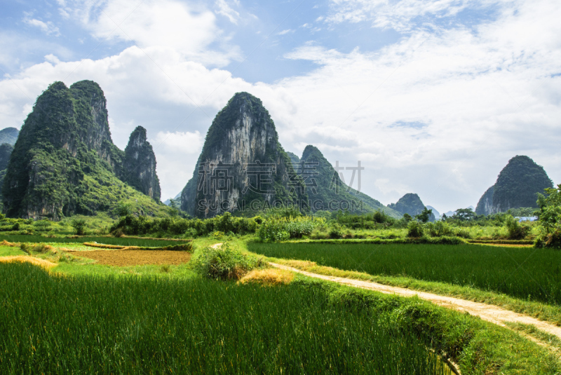 喀斯特,山脉,风景,法明顿山,桂林山水,天空,水平画幅,高视角,林区,岩层