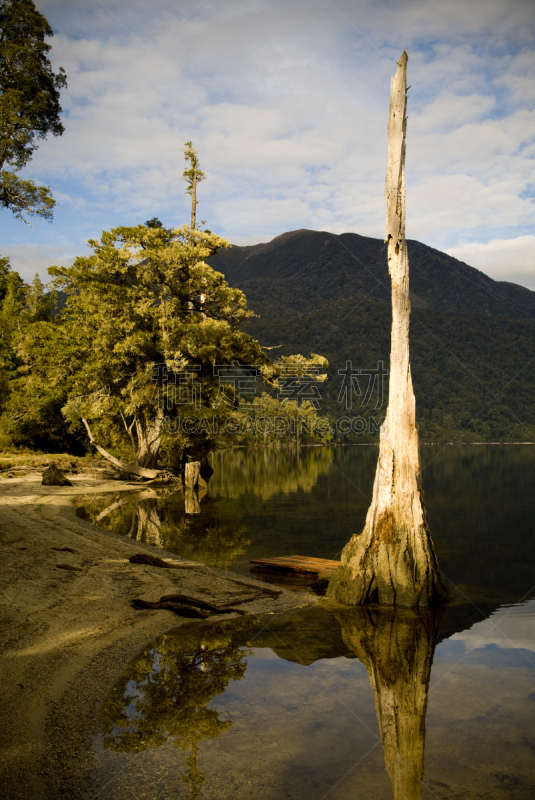 热带雨林,湖,布伦纳湖,自然,远古的,垂直画幅,风景,图像,新西兰,无人