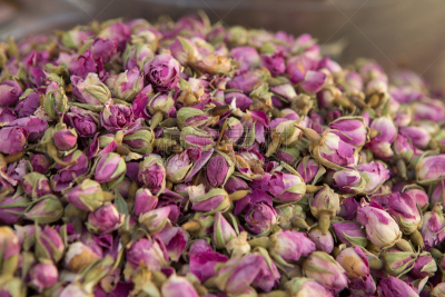 迪拜,阿拉伯联合酋长国,地球村,待售,干燥食品,茶树,芳香的,水平画幅,干花,特写