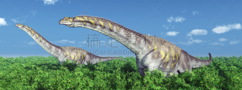 阿根廷龙,恐龙,古生物学,自然,天空,水平画幅,无人,食草动物,蓝色,绘画插图