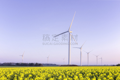 贝弗利,田地,英国,约克郡,石油工业,种子,风力发电站,东约克郡,天空,水平画幅