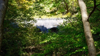 平衡折角灯,顺序,脉搏图,阿坡特,长野县,四季,里山,非都市风光,旅游目的地,水平画幅