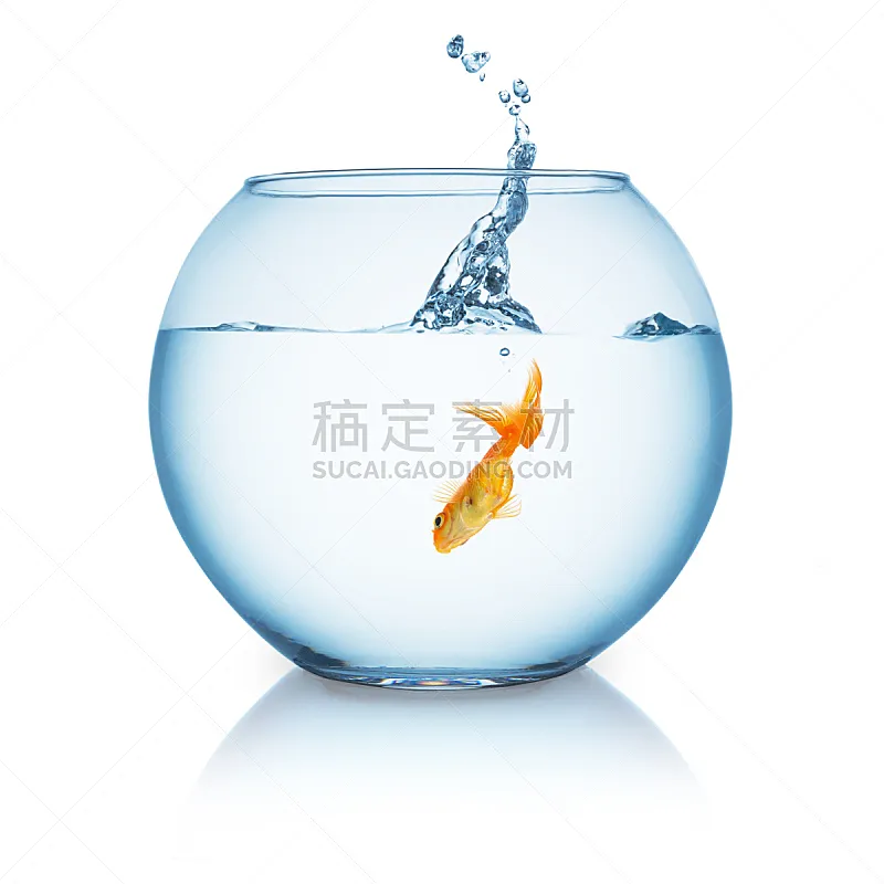 玻璃鱼缸 金鱼 鱼缸 水 在之后 水下 玻璃 纯净 容器 水族馆图片素材下载 稿定素材 玻璃鱼缸 金鱼 鱼缸 水 在之后 水下 玻璃 纯净 容器 水族馆图片素材下载 稿定素材