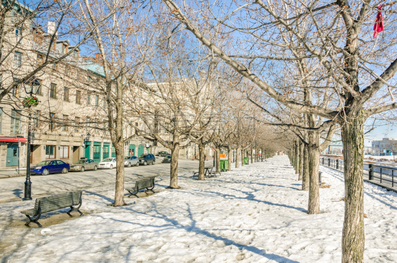 雪,小路,林荫大道,老港,天空,公园,长椅,水平画幅,户外,秃树