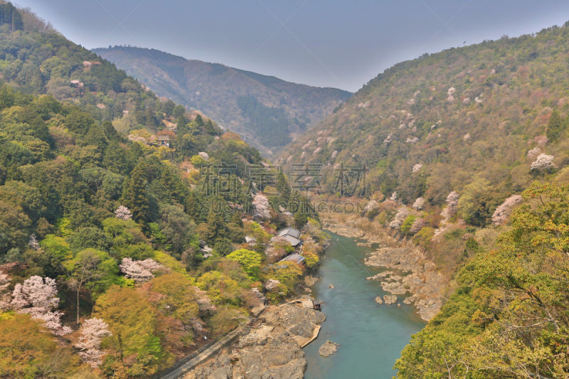 岚山,泉,图像,katsura,植物,水平画幅,地形,山,日本,旅行者