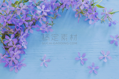 木制,长春花属,背景,美,水平画幅,古老的,夏天,乡村风格,草,特写