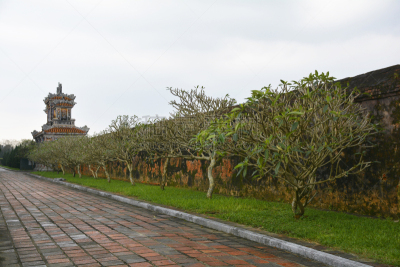 建筑外部,承天顺化,顺化,世界遗产,水平画幅,无人,古老的,户外,草,东南亚