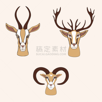瞪羚,公羊,鹿,矢量,卡通,插画,动物手,华丽的,羚羊,跳羚