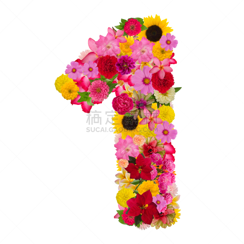 数字1,白色背景,分离着色,玫瑰,背景分离,马齿苋,字母,泰国,非洲雏菊,大马士革玫瑰