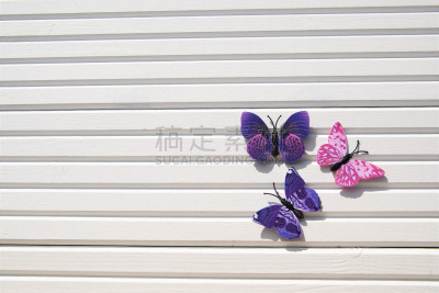 明亮,白色,英国,蝴蝶,乐趣,木制,紫色,日光,粉色,背景