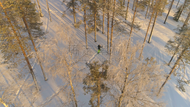 清新,一个人,雪,穿雪鞋走路运动,森林,拉普兰,徒步旅行,航拍视角,在上面,飞