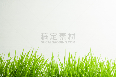 草,绿色,背景,留白,艺术,水平画幅,纹理效果,墙,无人,家庭生活