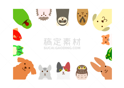 边框,动物主题,宠物,长方形,纯种犬,青蛙,狗,海龟,动物