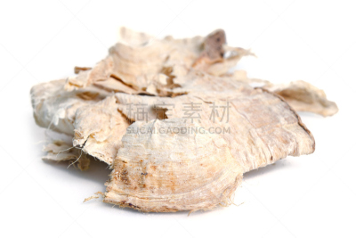 葛根,白色,抗衰老,干花,荷尔蒙,自然,水平画幅,根部,无人,有毒生物体