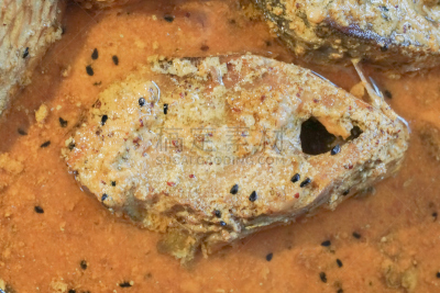 鱼类,盘子,切片食物,格子烤肉,水平画幅,海产,晚餐,清新,孟加拉邦