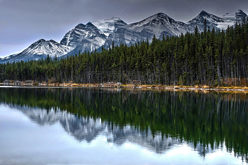 湖,宁静,山顶,森林,雪,班夫,环境保护,加拿大,北美野人通行,公元前