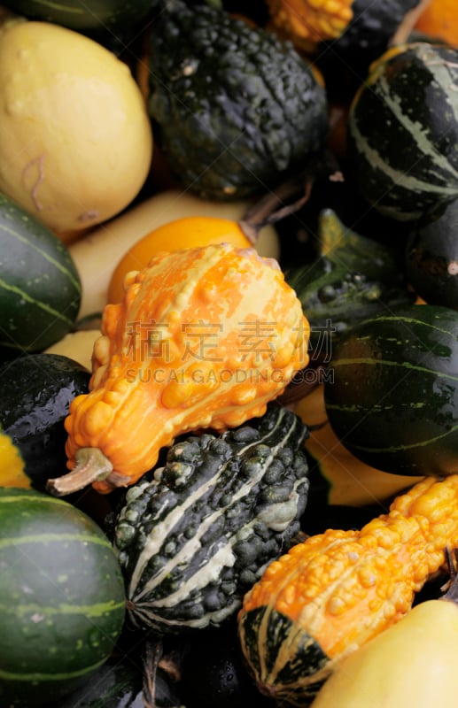 南瓜,甜妈咪瓜,金色条纹南瓜,hubbard squash,acorn squash,迷你南瓜,笋瓜,垂直画幅,葫芦,无人