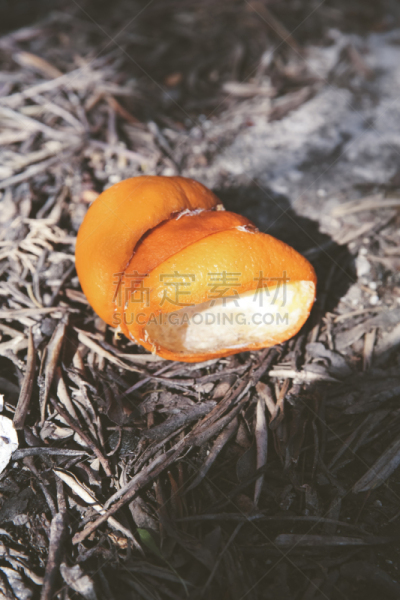 环绕立体声,垂直画幅,垃圾,早餐,水果,午休时间,膳食,帕斯托,果汁,周末活动