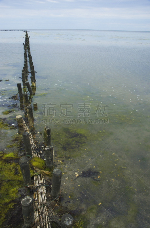 冬天,布鲁斯音乐,码头,海洋,垂直画幅,水,天空,艾默伊登,水生植物,无人