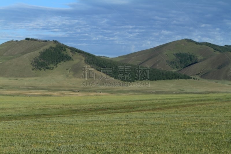 自然,草地,柳树,水平画幅,野地,地形,山,无人,veldt,丘陵起伏地形