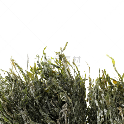 海草,绿色,裙带菜,碘,海藻灰,素食,无人,藻类,海产,干的