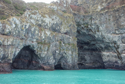 akaroa,都市风景,城镇,风景,图像,海洋,大洋洲,著名景点,新西兰,无人