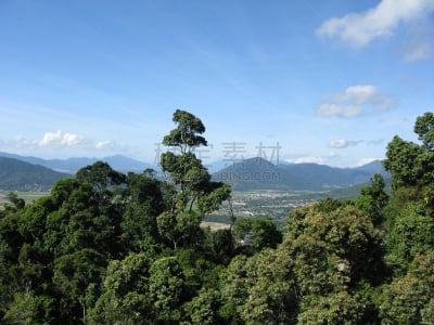 阿瑟顿高地,大分水岭,前面,高原,天空,休闲活动,水平画幅,枝繁叶茂,无人,夏天
