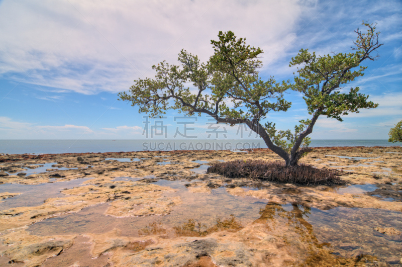 佛罗里达群岛,自然,水,水平画幅,无人,bahia honda key,夏天,户外,佛罗里达,海洋