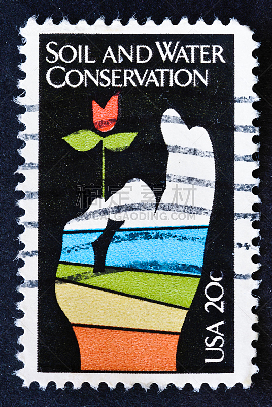 水资源保护,泥土,1984,自然,垂直画幅,环境,环境保护,图像,仅一朵花