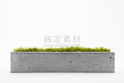 锅,混凝土,花盆,盆栽植物,水泥,草,肉质植物,架子,白色背景,绿色
