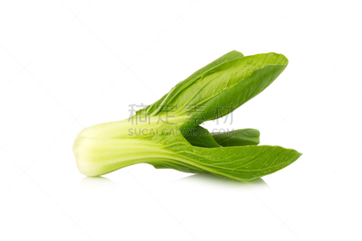 婴儿,油菜,分离着色,白色背景,农业,蔬菜,清新,食品,成分,农场