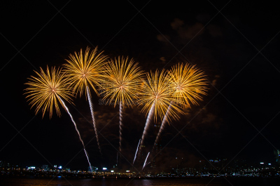 首尔,韩国,放焰火,江南区,英文字母n,水平画幅,夜晚,无人,户外,都市风景