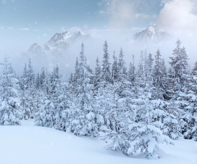 雪,冬天,山,地形,乌克兰,光效果,背景虚化,阶调图片,宏伟,摄影