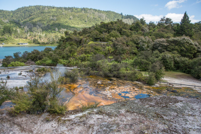 温泉,orakei korako geyserland resort,高视角,居住区,风景,热,色彩鲜艳,林区,自然荒野区,矿物质