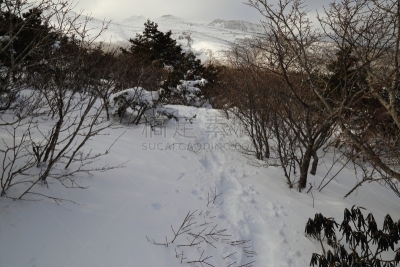 雪,日本,福岛县,山,小路,十二月,自然,天空,登山杖,非都市风光