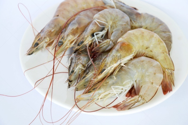 生食,盘子,虾,白色背景,餐具,水平画幅,海产,海洋生命,明虾,食盐