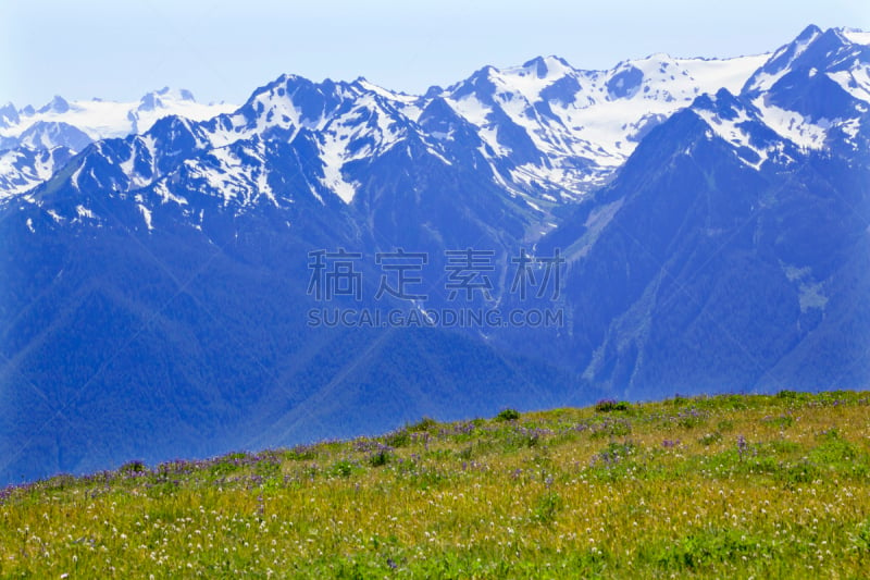 飓风山脊,雪,山,华盛顿州,奥林匹克山脉,奥林匹克山,水平画幅,无人