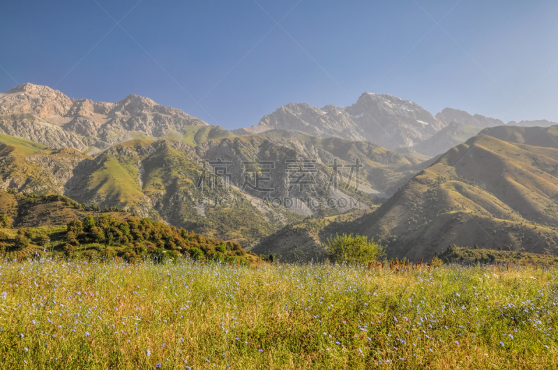 吉尔吉斯斯坦,掸邦,艾卡拉酷,天山山脉,自然,草地,水平画幅,地形,山,无人