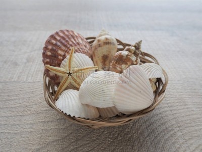 篮子,贝壳,夏天,充满的,海滩,概念,大量物体,自然,图像,海洋
