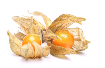 酸浆属,红菇娘,醋栗,灯笼,水平画幅,素食,组物体,干的,特写,植物