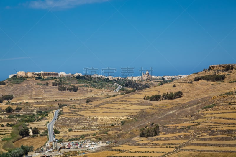 陆地,马耳他,冷,goiter,耕地,水平画幅,泥土,户外,植物,灌木