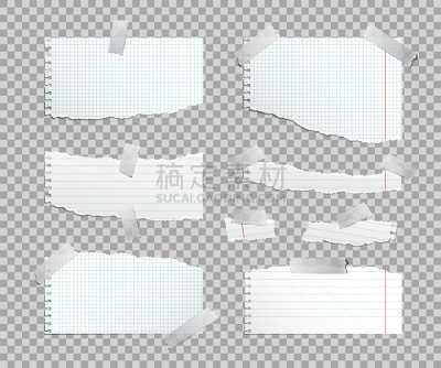 撕破的,胶带,床单,绘画插图,矢量,纸,格记录纸,扯开,在边上,胶水