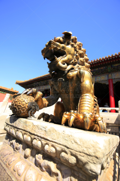 北京,铜狮子,颐和园,胡青,雌狮,故宫,禁止的,铜,宫殿,纪念碑