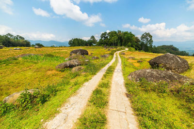 乡村路,稻田,稻,横越,天空,蜿蜒,水稻梯田,苏拉威西,种植园,草地