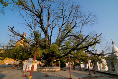 固都陶佛塔,曼德勒,缅甸,克里普塔纳,小乘佛教,最大,灵性,教堂,水平画幅,传统