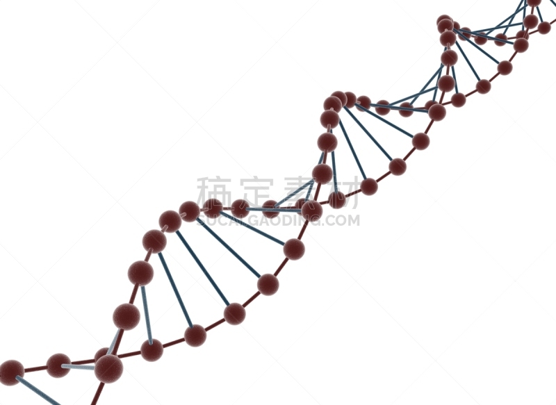 脱氧核糖核酸,病毒dna,螺旋模型,染色体,水平画幅,无人,白色背景,背景分离,白色,遗传研究