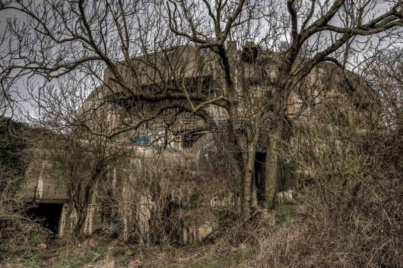 围墙,大西洋,法国,cap de gris-nez,孤儿,鹿肉,城墙,水平画幅,纹理效果,建筑