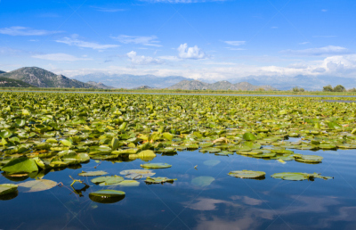 湖,黑山