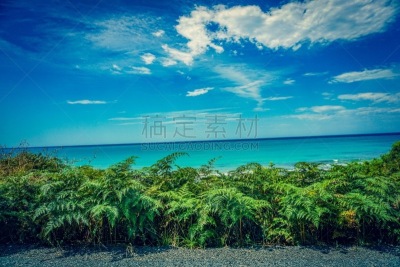 澳大利亚,风景,海洋,草,植物,户外,雨林,白天堂海滩,白色,自然